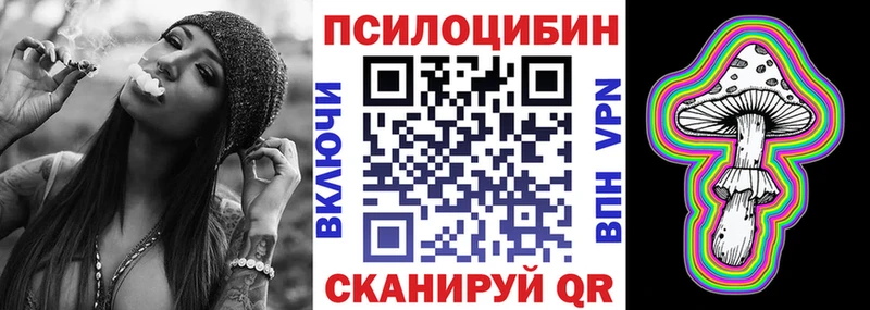 Псилоцибиновые грибы Psilocybe  Болохово 